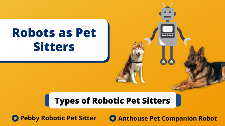 anthouse companion robot