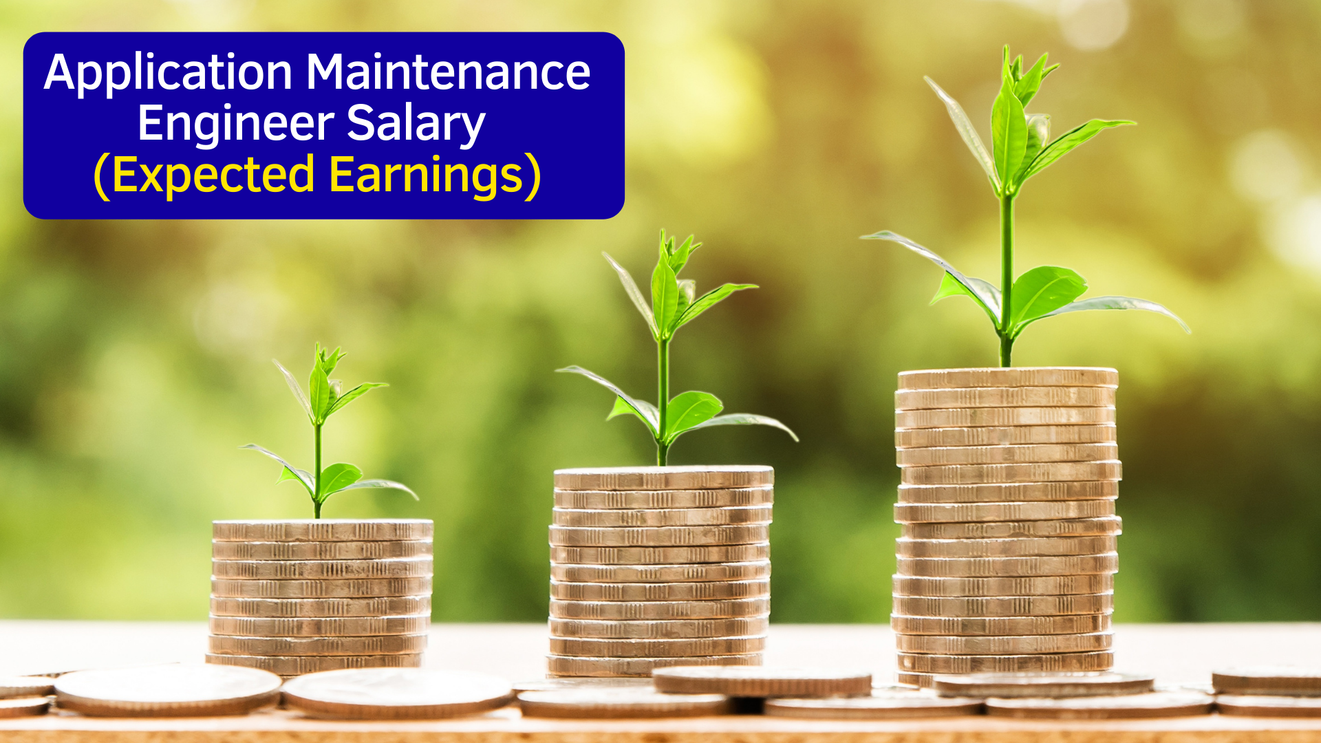 Application Maintenance Engineer Salary (Expected Earnings)