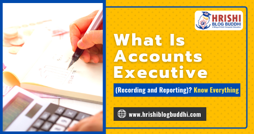 What Is Accounts Executive (Recording and Reporting) Know Everything