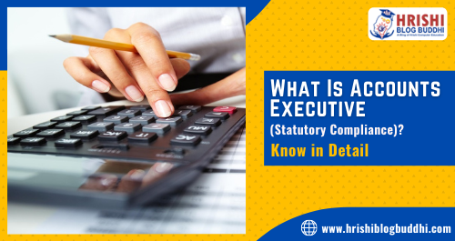 What Is Accounts Executive