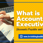 What is Account Executive (Accounts Payable and Receivable)