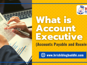 What is Account Executive (Accounts Payable and Receivable)