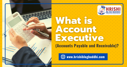 What is Account Executive (Accounts Payable and Receivable)